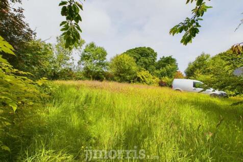 CAM03686G0-PR0095-STILL044.jpg