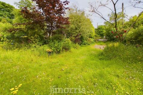 CAM03686G0-PR0095-STILL055.jpg