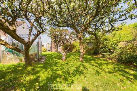 CAM03686G0-PR0157-STILL012.jpg