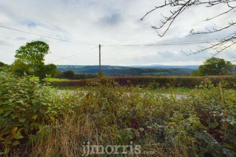 CAM03686G0-PR0188-STILL001.jpg