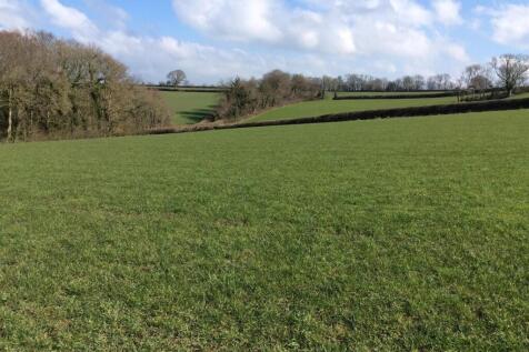 The Land