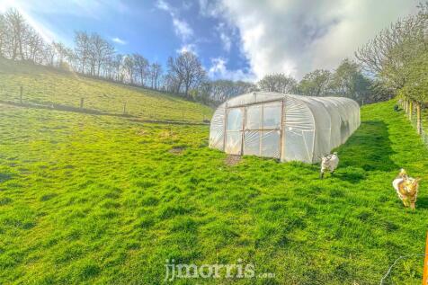 Polytunnel