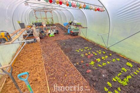 Polytunnel