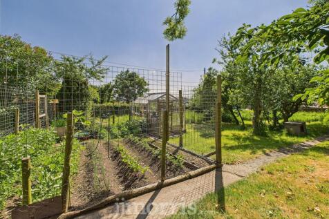 CAM05297G0-PR0050-STILL036.jpg