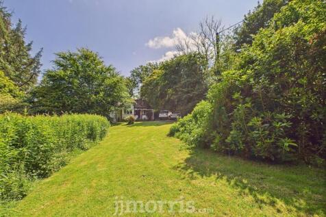 CAM05297G0-PR0061-STILL055.jpg