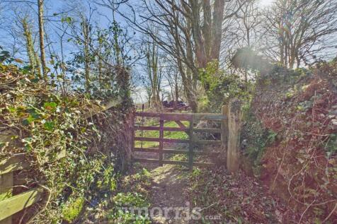 CAM02122G0-PR0253-STILL015.jpg