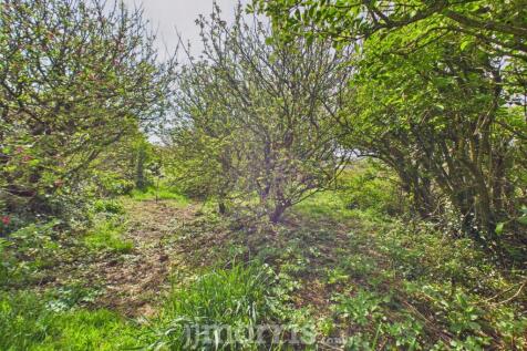 CAM02122G0-PR0294-STILL046.jpg