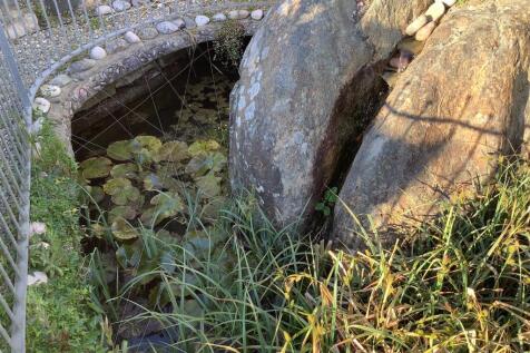 image2 (4).jpeg