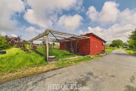 Chicken Shed with Run