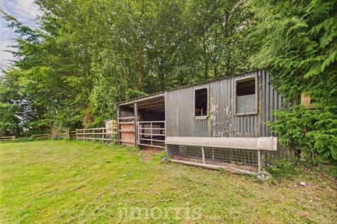 Paddock/Sheep Shed