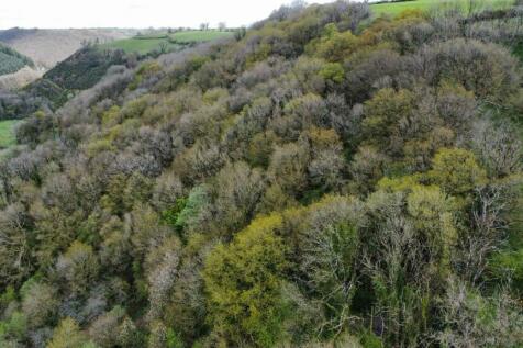 dji_fly_20230502_123620_623_1683124640707_photo_op