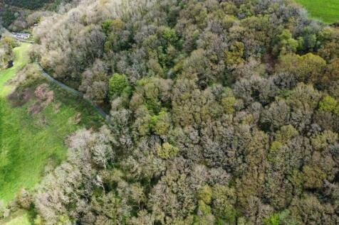 dji_fly_20230502_123936_633_1683124615421_photo_op