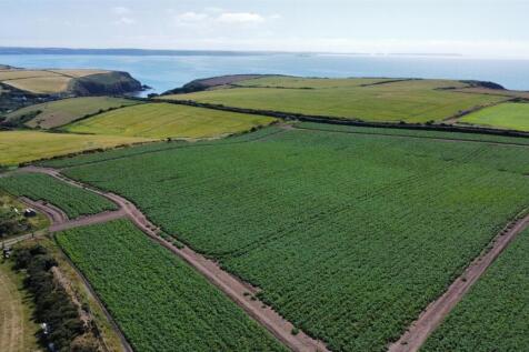 dji_fly_20250709_154356_340_1752073108153_photo_op