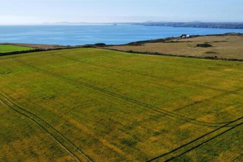 dji_fly_20250709_154402_341_1752073106718_photo_op