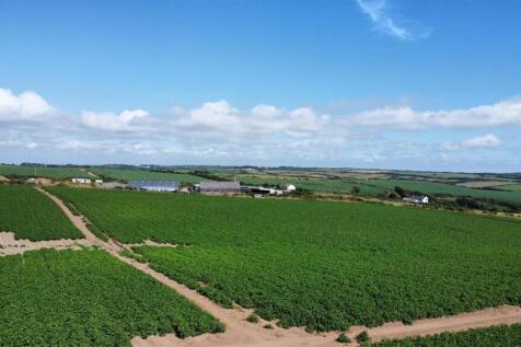 dji_fly_20250709_160558_360_1752073636222_photo_op