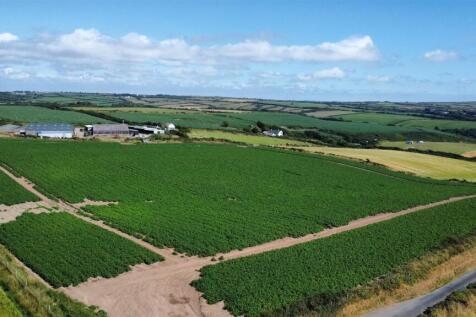 dji_fly_20250709_160618_362_1752073637965_photo_op