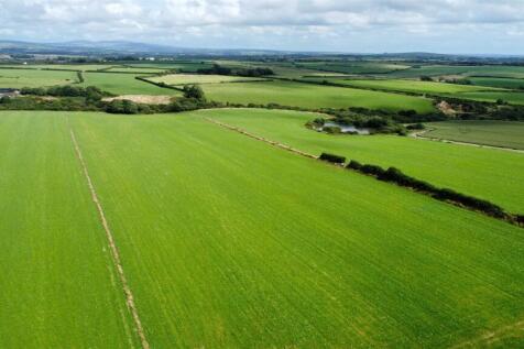 Fields8.JPG