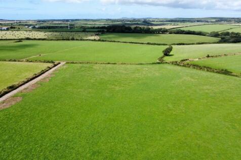 Fields5.JPG