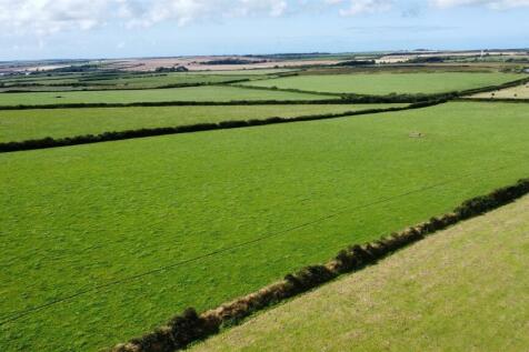 Fields4.JPG