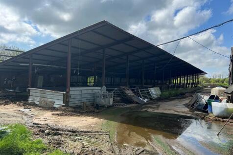 rhos farm 1.jpg