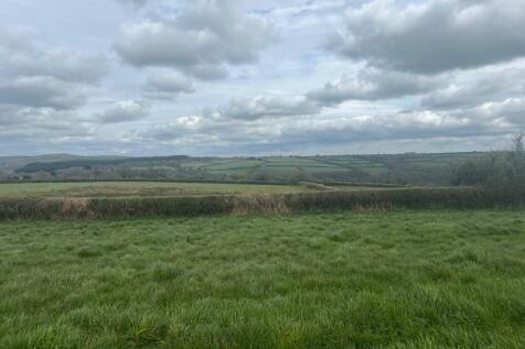 THE LAND