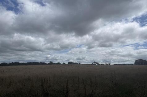 IMG_7328.jpeg