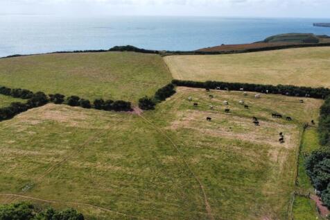 dji_fly_20250714_114100_404_1752489749665_photo_op