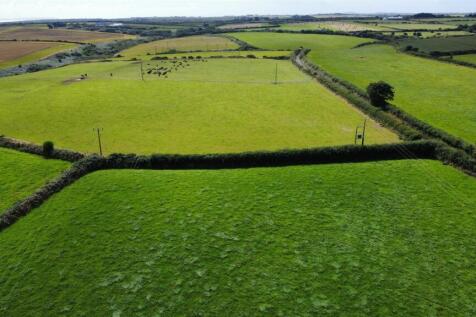 Fields9.JPG