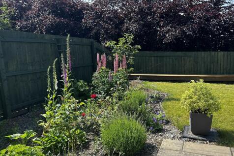garden 2 22.5.jpg