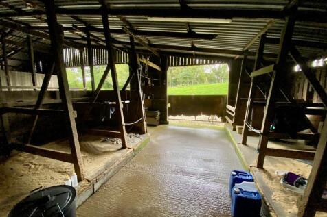 shed 1.jpg