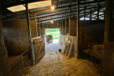 shed 4.jpg