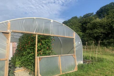Polytunnel 3084.jpeg