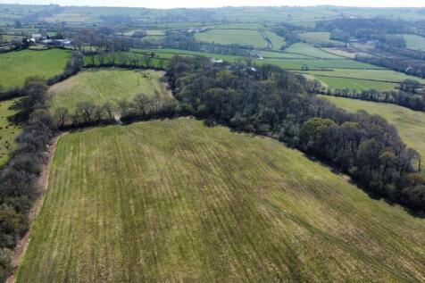 dji_fly_20250411_135400_168_1744376132245_photo_op