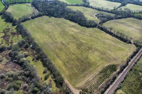 dji_fly_20250411_135502_173_1744376276006_photo_op