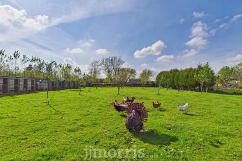CAM02878G0-PR0022-STILL039.jpg