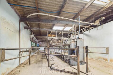 CAM02878G0-PR0030-STILL041.jpg