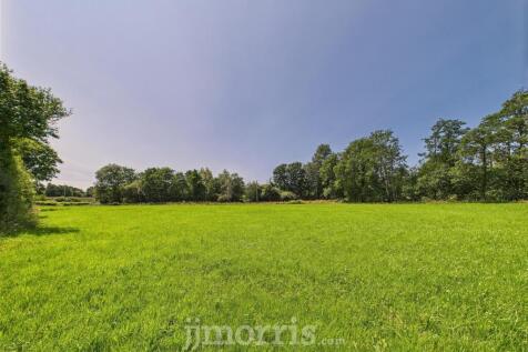 CAM02878G0-PR0050-STILL002.jpg