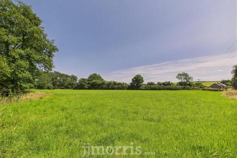 CAM02878G0-PR0050-STILL005.jpg