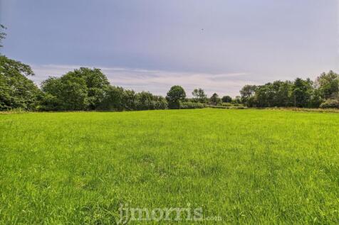 CAM02878G0-PR0050-STILL003.jpg