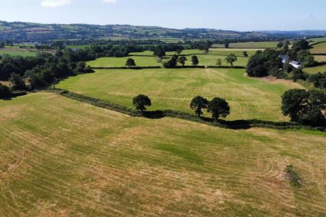 dji_fly_20250710_100124_149_1752138113496_photo_op