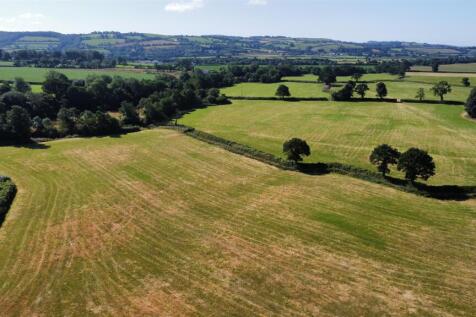 dji_fly_20250710_100126_150_1752138105504_photo_op