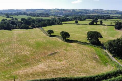 dji_fly_20250710_100154_152_1752138134074_photo_op