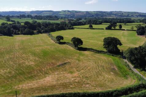 dji_fly_20250710_100158_153_1752138130903_photo_op