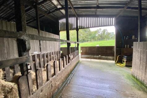 shed 2.jpg