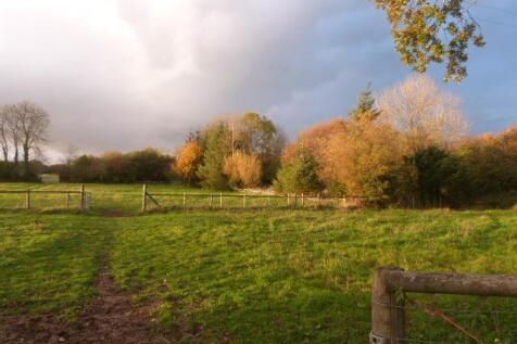 2 small paddocks Nov.15.JPG