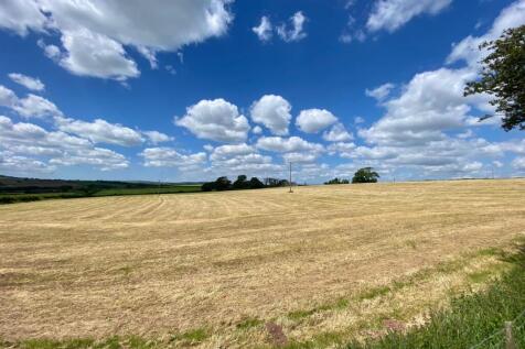 The Land