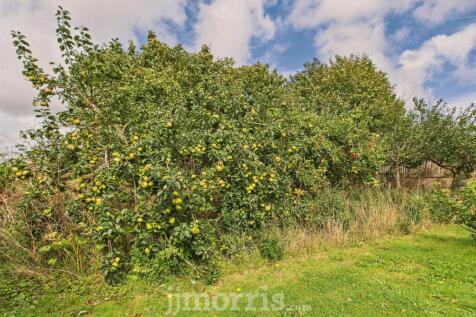 CAM02878G0-PR0074-STILL036.jpg