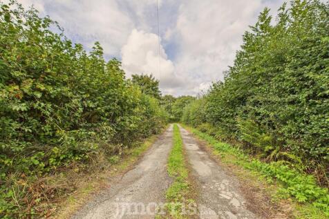CAM02878G0-PR0074-STILL046.jpg