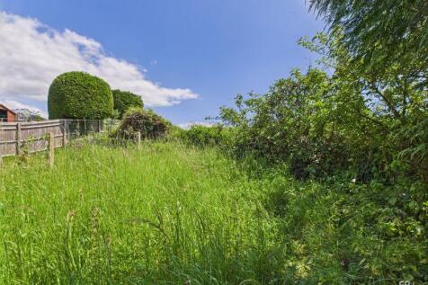 Back garden