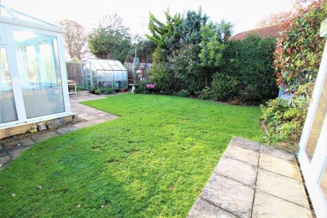 IMG_0656 improved.jpg